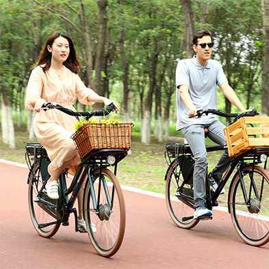 /electric-bike-products/