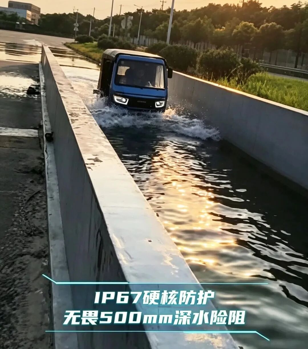 图片7